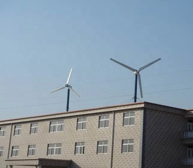 CE Poland Italy Romania Hot Se - Wind Turbine Generator reseña y precio