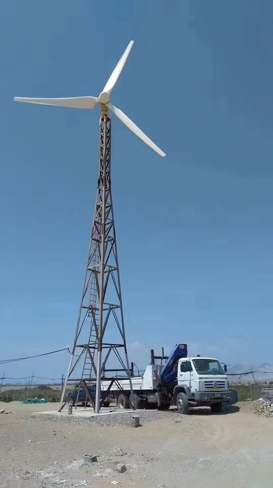 CE Poland Germany Ukraine Hot  - Wind Turbine Generator reseña y precio