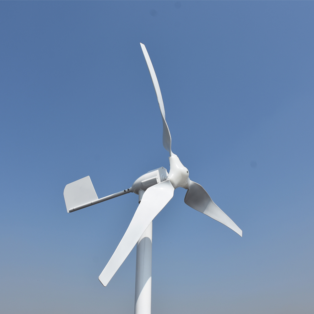 Free Energy Professional Custo - Wind Turbine Generator reseña y precio