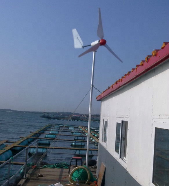 HOT SALE! High Efficiency 12v  - Wind Turbine Generator reseña y precio
