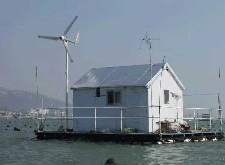 HOT SALE! High Efficiency 12v  - Wind Turbine Generator reseña y precio